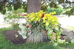 HIGH SCHOOL SWEETHEARTS